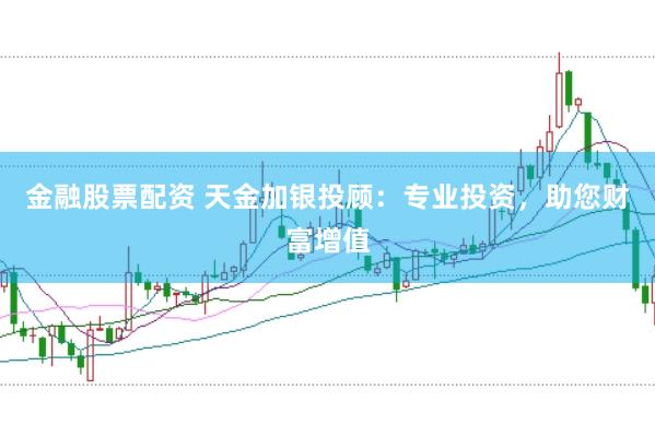 金融股票配资 天金加银投顾：专业投资，助您财富增值