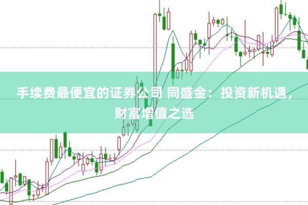 手续费最便宜的证券公司 同盛金:投资新机遇,财富增值之选