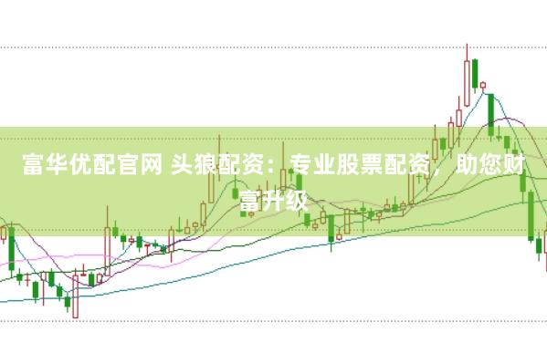 富华优配官网 头狼配资：专业股票配资，助您财富升级