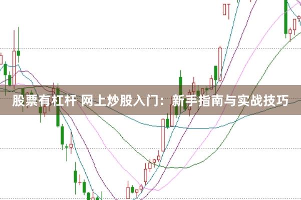 股票有杠杆 网上炒股入门：新手指南与实战技巧