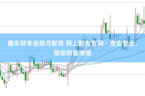 鑫东财专业杨方配资 网上配资官网 - 专业安全,助您财富增值