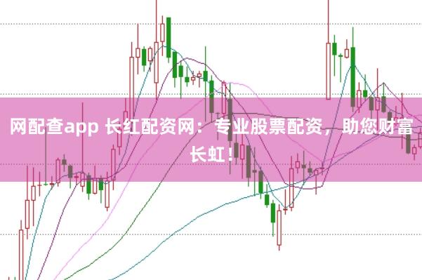 网配查app 长红配资网：专业股票配资，助您财富长虹！