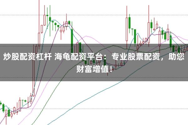 炒股配资杠杆 海龟配资平台：专业股票配资，助您财富增值！