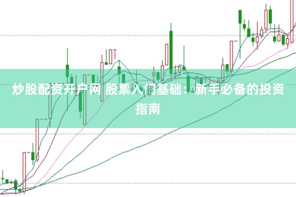 炒股配资开户网 股票入门基础:新手必备的投资指南