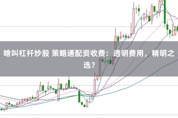 啥叫杠杆炒股 策略通配资收费:透明费用,精明之选?