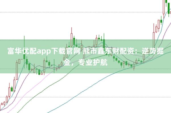 富华优配app下载官网 熊市鑫东财配资:逆势掘金,专业护航