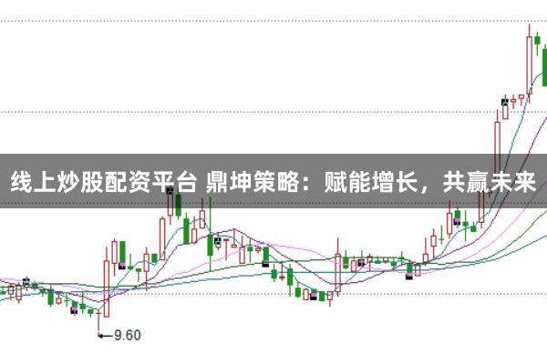 线上炒股配资平台 鼎坤策略：赋能增长，共赢未来