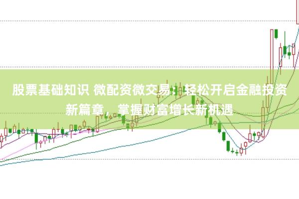 股票基础知识 微配资微交易：轻松开启金融投资新篇章，掌握财富增长新机遇